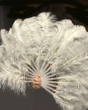A pair Single layer light gery Beginner’s Ostrich Feather Fan
