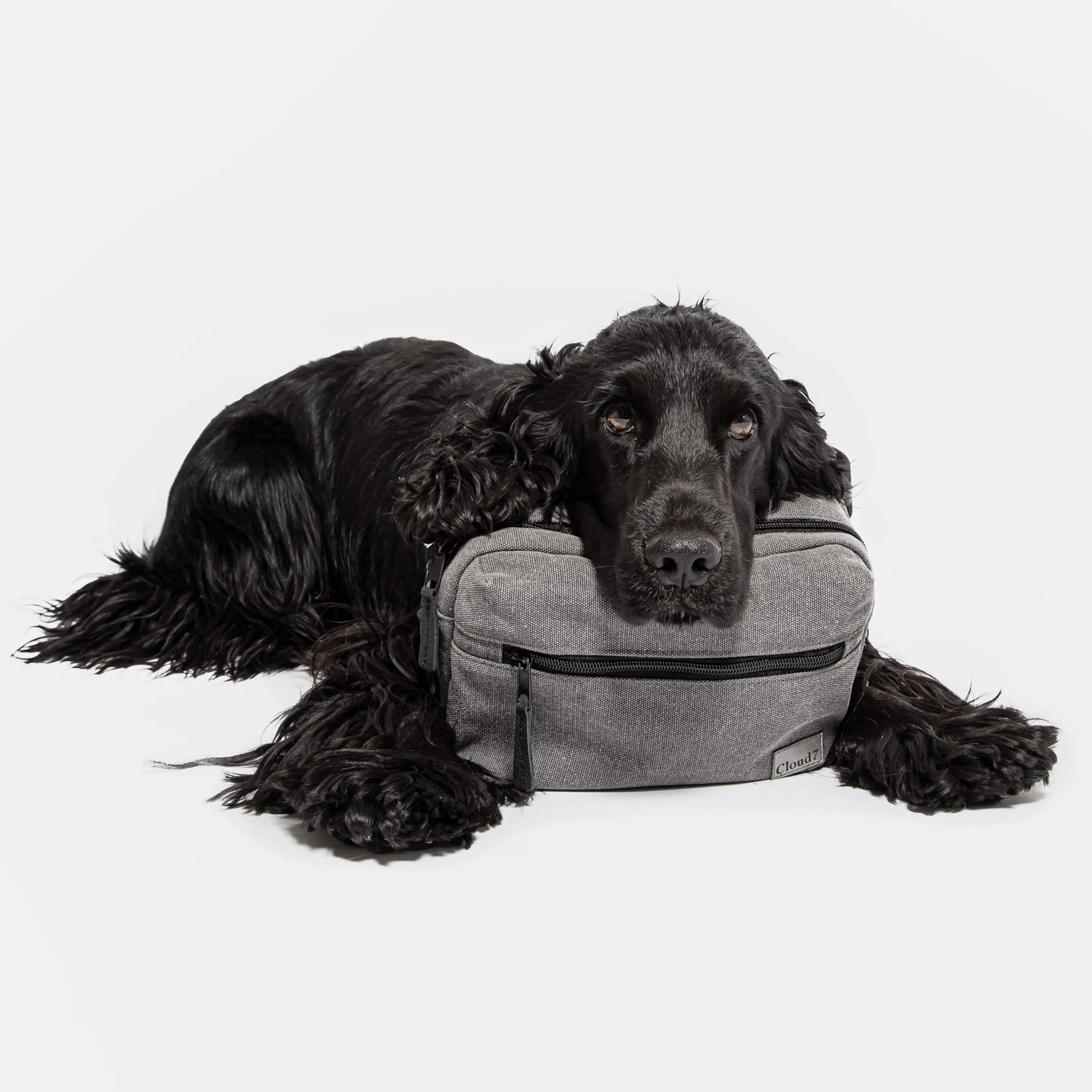 Cloud7: Belt Bag, Basalt