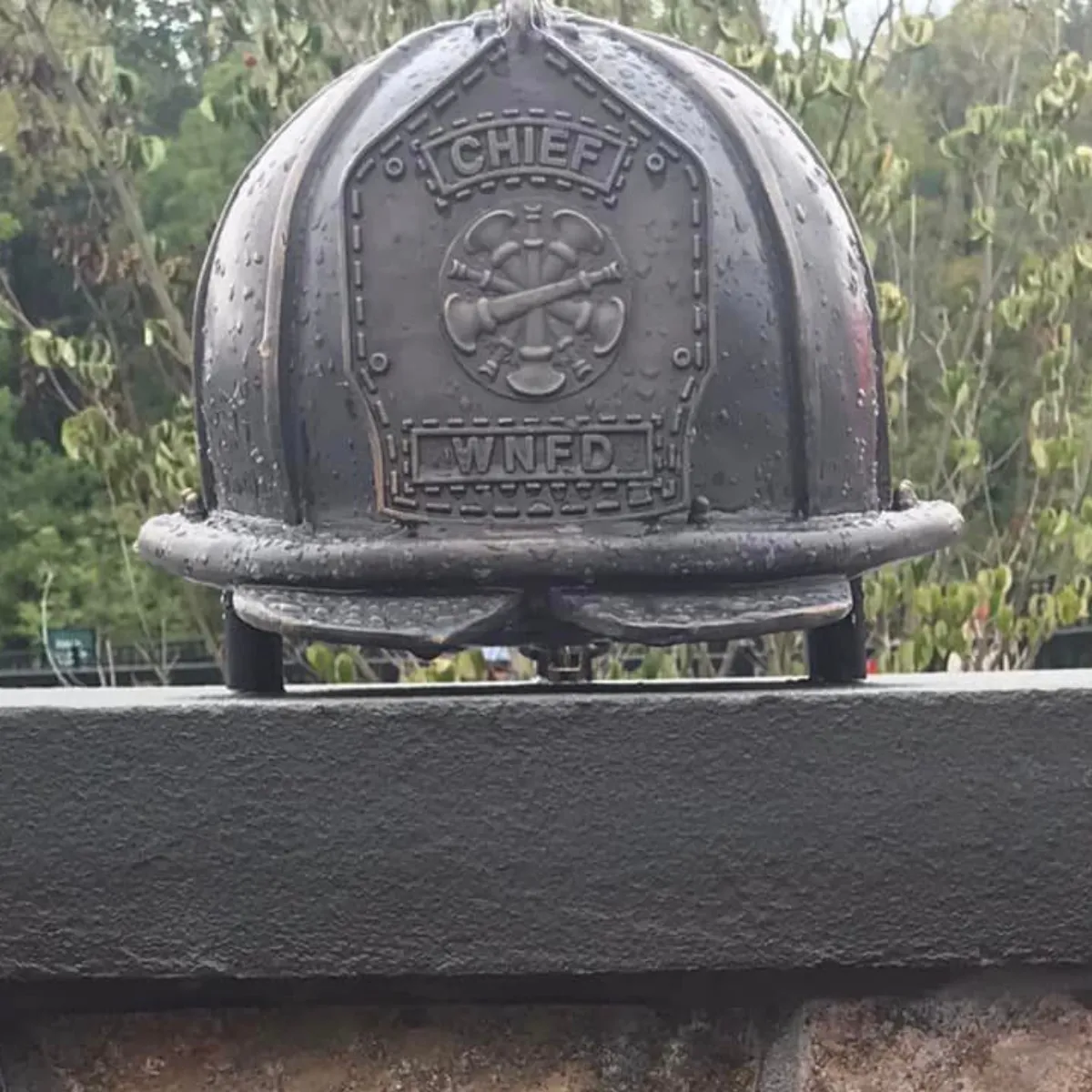 Custom Fire Chief Helmet