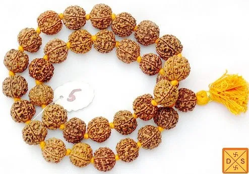 Five mukhi giant beads mala of 32 1 Super quality (18-22 mm) with knots between beads