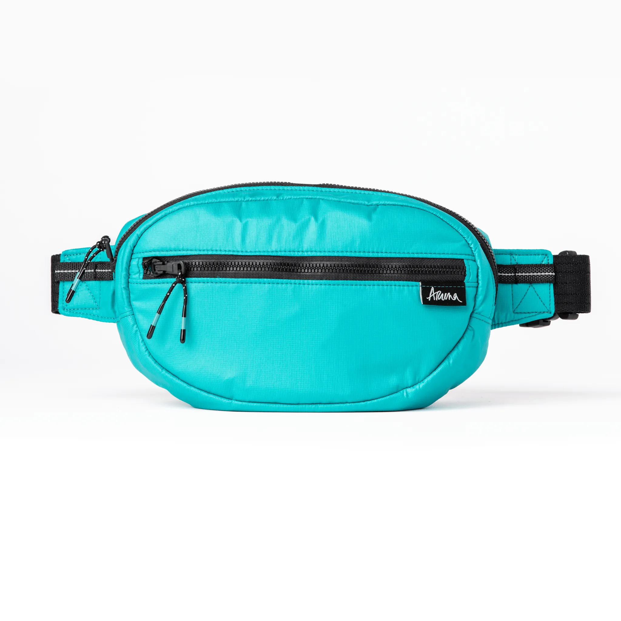 Soniya Belt Bag
