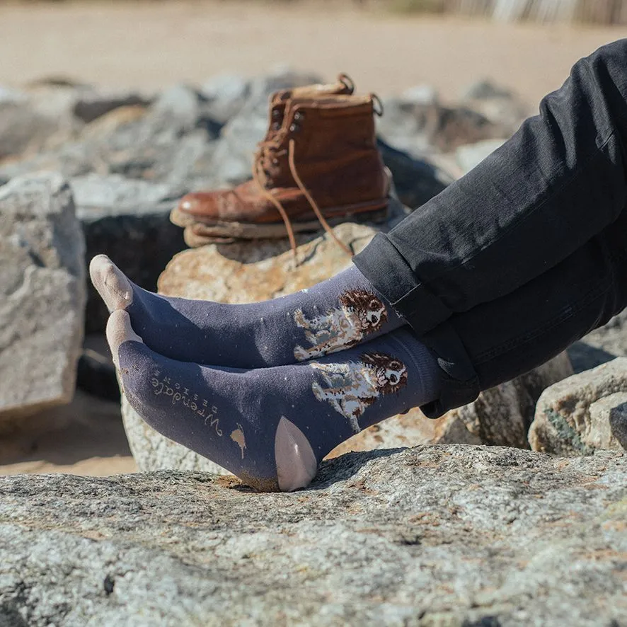 Wrendale Willow Spaniel Mens Socks